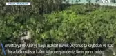 Denizciler Issız Adada Mahsur Kaldı