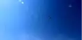 Denizli'de orman yangını