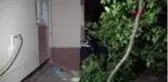 4'üncü kattaki balkondan düşen yaşlı kadın öldü