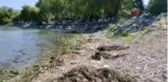 Son dakika haber | BURSA İznik Gölü çekildi, halk tedirgin oldu