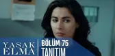 Yasak Elma 75. Bölüm Tanıtımı