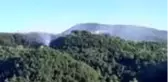Cide'de orman yangını