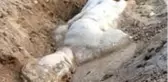 Smyrna Antik Kenti kazılarında mitolojik varlık Satyros'un kabartması bulundu
