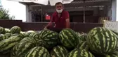 Kendine özgü tadı ve kokusuyla ünlü 
