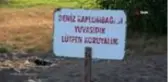 Yavru Caretta Carettalar denizle buluşmaya başladı