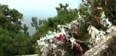 Son dakika haberi: İlginç görüntünün adresi Büyükada oldu: Dilek çaputu yerine maske bağladılar