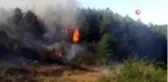 Kastamonu'daki orman yangını söndürüldü