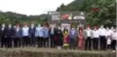Trabzon'da 'örnek bahçede' fındık hasadı