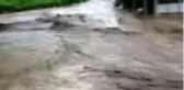 Fırtına ve yağmur, bağ alanlarında hasara neden oldu