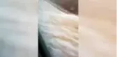 Hatay'da sağanak hayatı olumsuz etkiledi