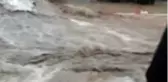 Manisa'da çiftçileri sel felaketi vurdu
