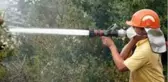 Son dakika haberi... Ocakta unuttuğu yemek evini yaktı