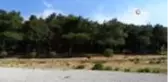 Soma'da orman yangını