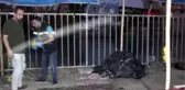 Adana'da kardeşler arasındaki bıçaklı kavgası kanlı bitti