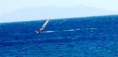 Bodrum'da sörfçünün zor anları