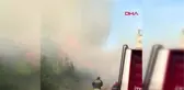 Düzce'de 4 hektar ormanlık alan yandı