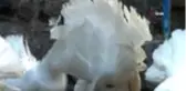 Felç görünümüyle görenleri hayrete düşürdü.