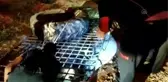 Son dakika... Sulama kanalına düşen köpeği itfaiye kurtardı