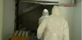 Hakkari Belediyesi ekiplerinden, yarasaların yuva yaptığı evde inceleme