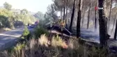 Son dakika haberleri! Osmaniye'de çıkan orman yangını kontrol altına alındı