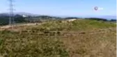 Bursa'nın yanan ciğerlerini tıbbi aromatik bitkiler tedavi etti