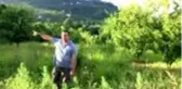 Fındıkta bakım, verim ve kaliteyi artırıyor