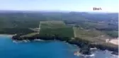 Son dakika haber... Kocaeli Helikopterle sahiller denetlendi