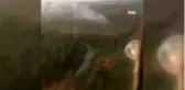 Son dakika haberi... Lapseki'de orman yangını