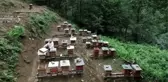 Karadeniz'in bal ormanlarındaki tatlı mesaide sona gelindi