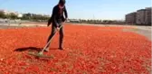 Şanlıurfa isotunun acı telaşı başladı