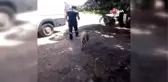 Son dakika haberleri... Sokak köpeğine uygunsuz hareketlerde bulunan yaşlı adam gözaltına alındı