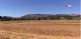 Vali Şentürk: 