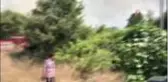 Son dakika haberi... Bursa'da orman yangını...Alevler villalara yaklaşıyor