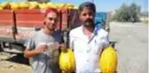 Çanakkale'de yaşayan genç, kavun taşıyarak kazandığı hatalı basım 50 TL'yi 70 bin TL'den satışa çıkardı