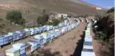 Hobi olarak başladı, mesleği oldu