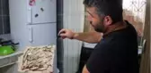 Mahalleyi böcek bastı, vatandaşlar ne yapacağını şaşırdı
