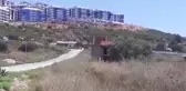 Anıt ağaç tescil başvurusu bulunan ağacın yanına yapılan villaya tepki