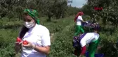 IĞDIR'DAKİ DOĞA KÖYÜNDE ÜRETİM ZAMANI