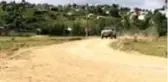 Son dakika haberi! 'TransAnatolia Rally Raid' yarışlarının Sakarya ayağında kaza...O anlar kamerada