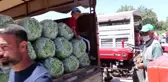 Son dakika! İnsuyu fasulyesi 3 lira 60 kuruştan alıcı buluyor