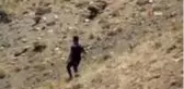 Tek geçim kaynağı olan kayıp koyunlarını 2 gündür dağ taş demeden arıyorlar