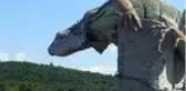 İstanbul'da görülen dev iguana, bakanlık yetkililerini harekete geçirdi