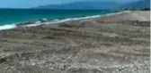 Antalya'da caretta carettaların üreme alanına iş makinesiyle girildi