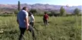Erzincan'ın bereketli topraklarında üretilen karpuzun hasadı sürüyor