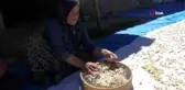 Son dakika haberleri! Kırka'da yöresel tarhana sezonu başladı