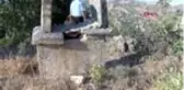 TUNCELİ Koçbaşı ve taş işlemeli mezarlar, defineci ve kaçakçıların talanına uğradı