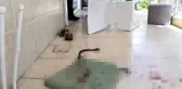 Aşık olduğu kızın ablasını aşklarına engel olduğu gerekçesiyle bıçakladı