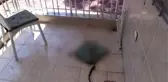 Bıçaklı saldırıya uğrayan kadın yaralandı