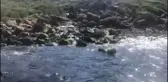 Son dakika haberleri! Bodrum'da denize atık su salındığı iddia edildi