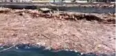 Son dakika haber... (DRONE) Sahil, selin sürüklediği odun parçaları ile kaplandı